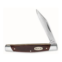 Buck Knives Solo Knife 19037