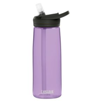 CamelBak Eddy Water Bottle Dusty Lavender 25 oz