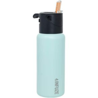 Infuze Vessel W/ Lid Water Bottle - 32oz Mint 32 oz