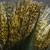 Hareline COQ De Leon Feathers One Size Medium Speckled Pardo