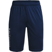 Under Armour Prototype 2.0 Wordmark Short - Boys' Academy / Mod Gray L
