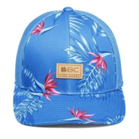 Black Clover Rainforest Hat Blue One Size