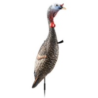 Flextone Funky Chicken Gen 2 Turkey Decoy Upright