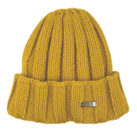 Chaos Tender Jr. Beanie - Youth Mustard One Size