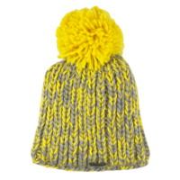 Chaos Gumby Beanie Neon Yellow One Size