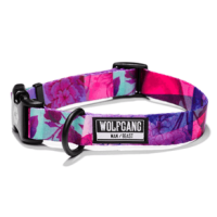 Wolfgang Daydream Dog Collar DayDream L