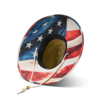 Hemlock Liberty Straw Hat USA Print One Size