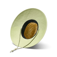 Hemlock Pistachio Straw Hat Green Solid Bottom One Size