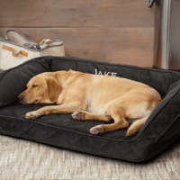 Orvis Memory Foam Bolster Dog Bed Slate S