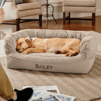Orvis Memory Foam Couch Dog Bed Heathered Khaki L