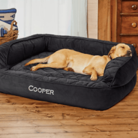 Orvis Memory Foam Couch Dog Bed Slate L