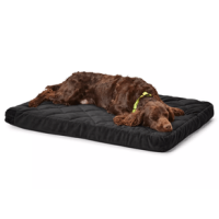 Orvis Memory Foam Platform Dog Bed Slate XL