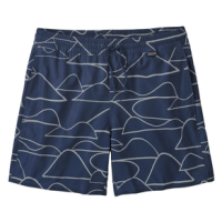 Patagonia Hydropeak Volley Shorts - Men's Wildlands HZ / Stone Blue XXL