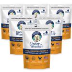 rice-chicken-pumpkin-6-pack