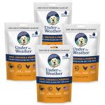 chicken-rice-pumpkin-bland-diet-for-dogs-4-pack