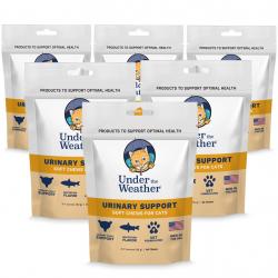 urinary-support-cat-6-pack