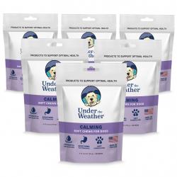 calming-dog-6-pack