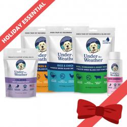 holiday-survival-bundle-for-dogs
