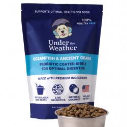 ocean-fish-ancient-grains-probiotic-coated-kibble-for-dogs