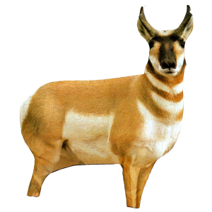 Montana Decoy Antelope Buck