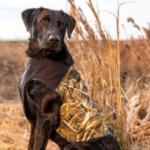 CUGA Waterfowler - Protective Dog Vest & Free Hat