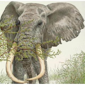 When There Were Giants Among Us - Elephant by Sherry Steele