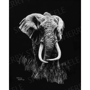 Mawingu - Elephant by Sherry Steele