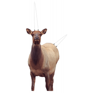 Montana Decoy Eichler Elk