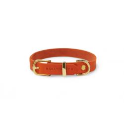 Butter Leather Dog Collar - Mango by Molly And Stitch US