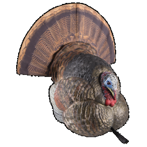 Avian-X LCD Strutter Decoy