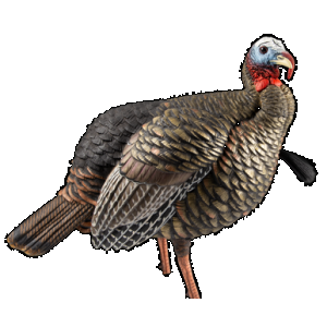 Avian-X HDR Jake Decoy