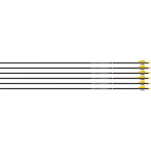 Easton Easton Arrow Sonic 6.0 400 - W/2" Bully Vanes 6-pack - $79.99 at Firearms Depot 