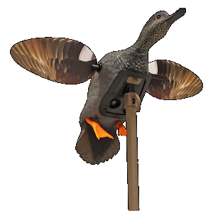 Mojo Elite Series Hw2473-3p Es Gadwall