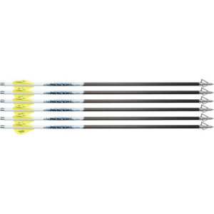 Excalibur Arrow Proflight 18" 6pk (fits Matrix)