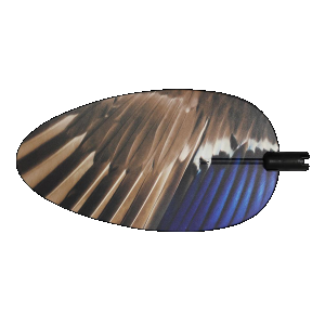 Mojo King Mallard, Mojo Hw2467 Mojo King Mallard Wings