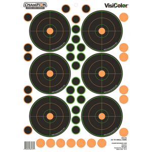 Champion Targets Visicolor, Champ 46133 25yd Small Bore 5pk W/90 Pasters