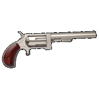 Naa Sidewinder, Naa Naasw4 Sidewinder 22mag 4in