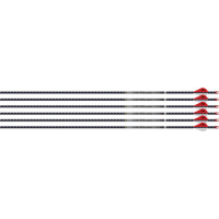 Easton Arrow 4mm Fmj 300 - 6-pack W/ 2" Blazer Vanes