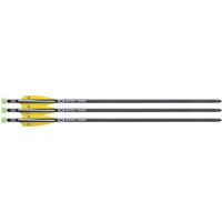 Tenpoint Xbow Arrow 20" Evo-x - Center Punch Alpha Blaze 3pk