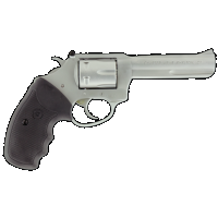 Charter Arms Pathfinder, Cha 72242 Pathfinder 22lr Ss 4.2in
