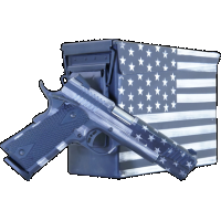 Citadel M-1911, Cit Citc45fusgac 1911-a1 Fsp Grey W/ammo Can