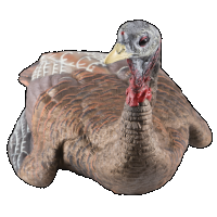 Avian X (gsm) Lcd, Avian Avx-avx8011 Lcd Laydown Hen Decoy