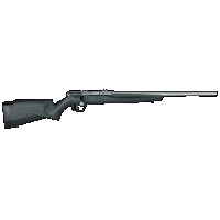 Savage B22, Sav 70202 B22fvss 22lr Bolt