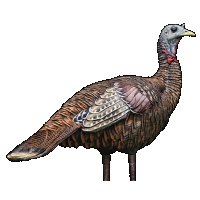 Avian-X LCD Lookout Hen Decoy