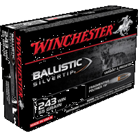Winchester Supreme .243 WIN, 55gr, Ballistic Silver-Tip - 10 Rounds [MPN: SBST243]