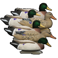 Higdon Decoys Battleship 16034 Mallard Foam Fill Flk 6pk