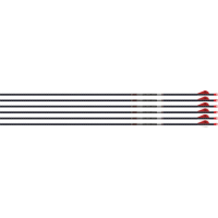 Easton Arrow 5mm Fmj 300 W/ Ho - 6-pack 2" Blazer Vanes