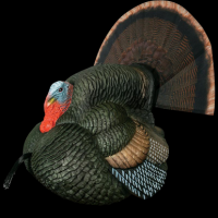 Primos Lil' Gobblestopper Prim 69076 Lil Gobbstopper Strutter Decoy