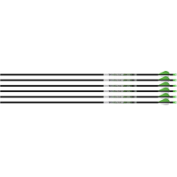 Easton Arrow Axis 5mm 300 - 6-pack W/ 2" Blazer Vanes