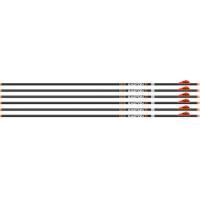 Easton Arrow 6.5mm Hunter Clsc - 300 W/2" Bully Vanes 6-pack